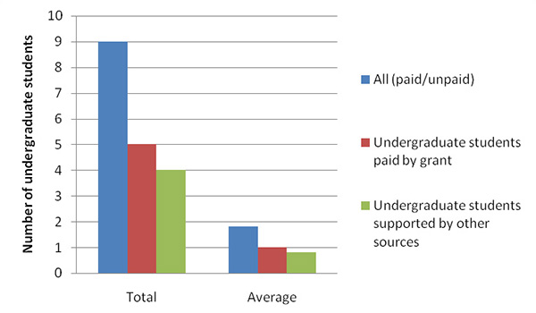 Number of undergraduate students paid by grant or supported by other sources - total and average