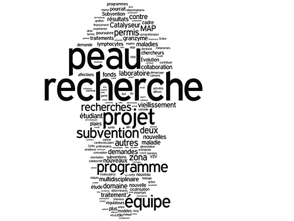 Nuage de mots : recherche, peau, projet, subvention, programme, etc.