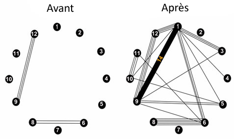 Fig. A4. Publications r&eacute;dig&eacute;es conjointement par les membres de l'&eacute;quipe &laquo; CIHR Team in Population-based Colorectal Cancer Screening &raquo; avant et apr&egrave;s la r&eacute;ception de la subvention. Chaque cercle repr&eacute;sente un des membres de l'&eacute;quipe, et les lignes reliant deux cercles indiquent que les membres ont co publi&eacute; un article. La ligne &eacute;paisse qui relie l'auteur 1 et l'auteur 9 repr&eacute;sente 14 publications.
