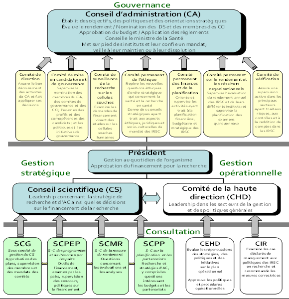 Diagramme du gouvernance et structure des comit&eacute;s de gestion des IRSC