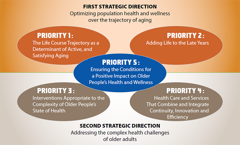 ia strategic plan 2013 2018 living longer living better cihr strategic partnership examples
