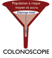 Population &agrave; risque moyen et accru - Colonoscopie