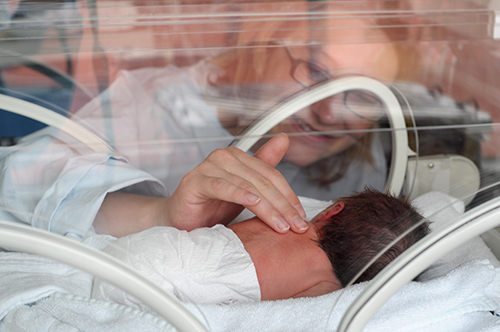 do premature babies grow tall premature baby development vs full term