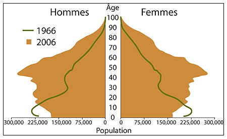 Pyramide de population